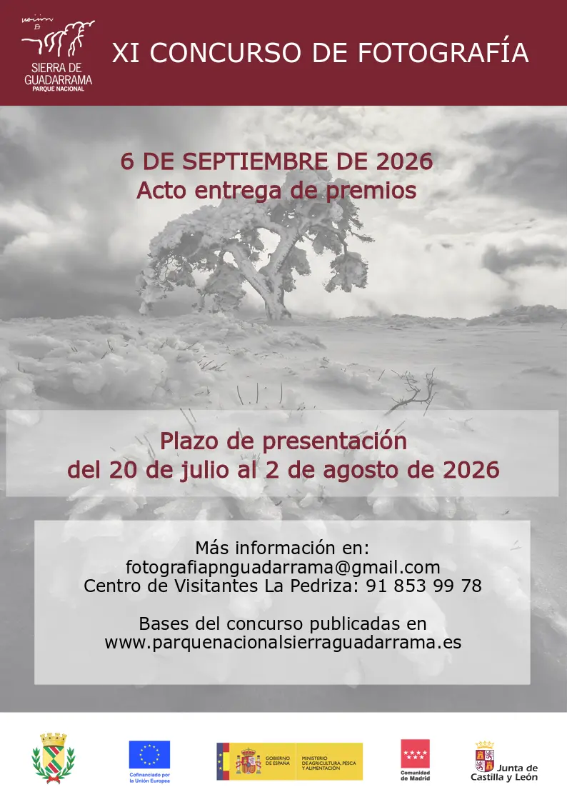 Cartel XI Con Foto 2026