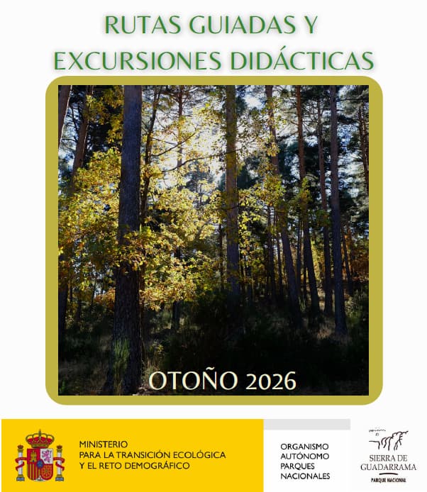 Actividades guiadas por la vertiente segoviana del parque nacional - otoño