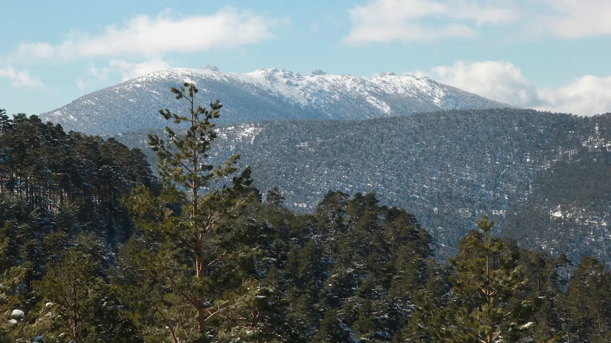 Montes de Valsaín