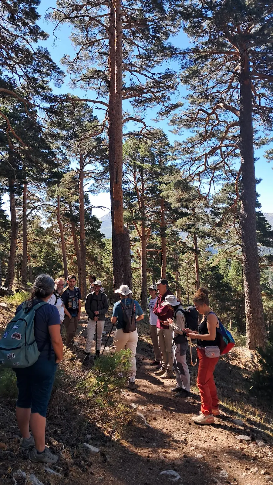 Excursion a peñalara