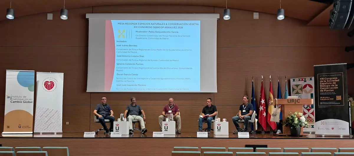 Mesa redonda