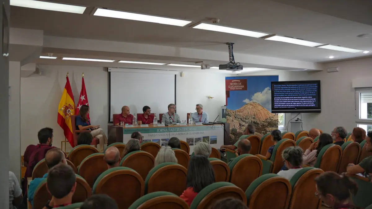 Mesa redonda