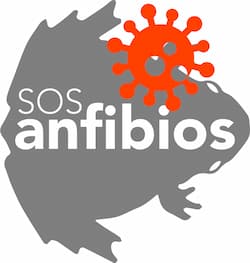 ProyectoSOSanfibios logo