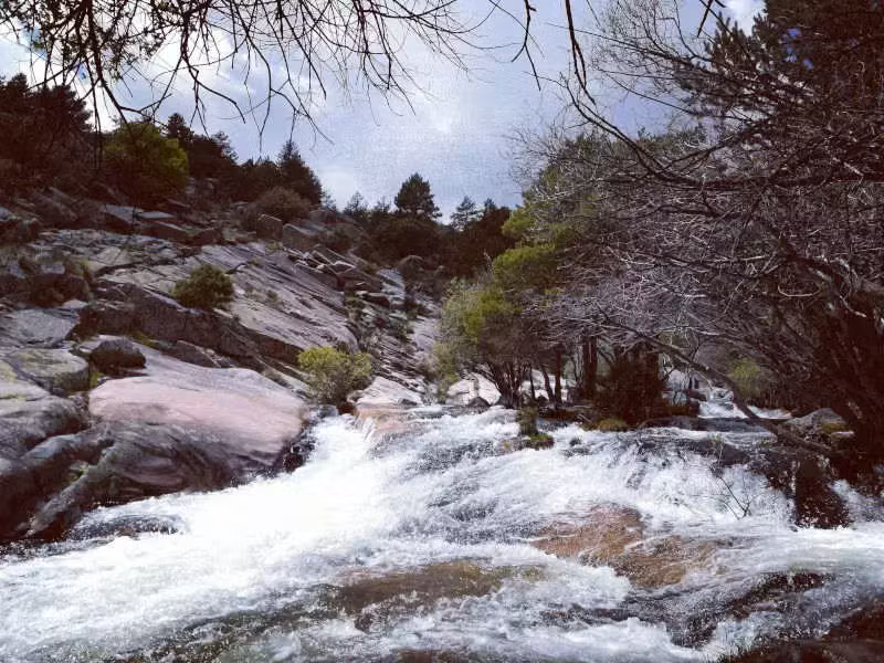 018 01 rio manzanares