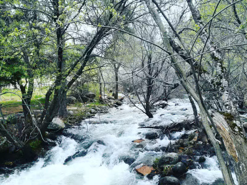 018 02 rio manzanares