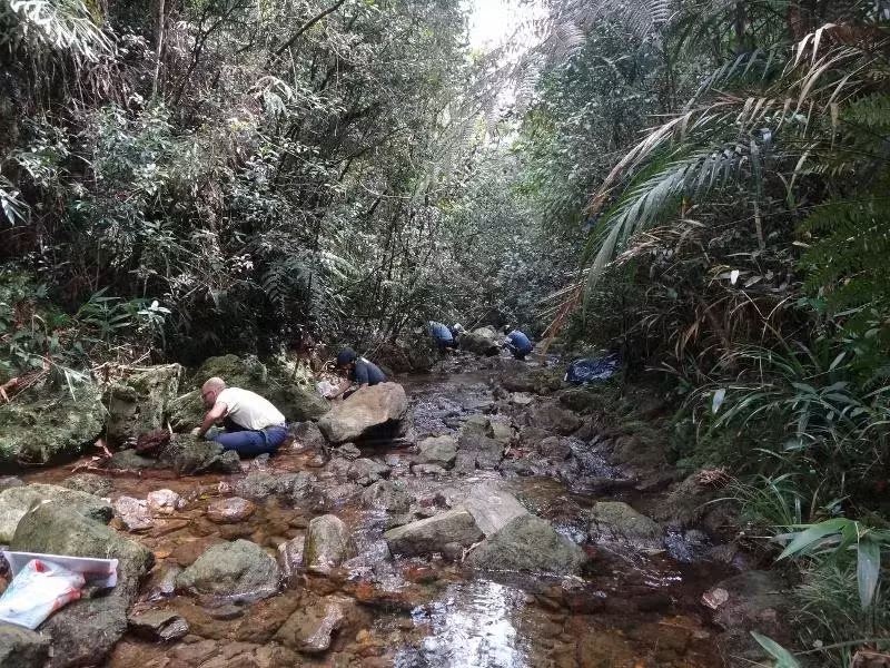trabajos campo