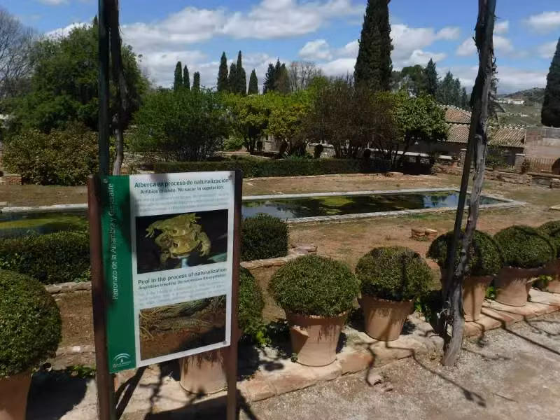 cartel alberca