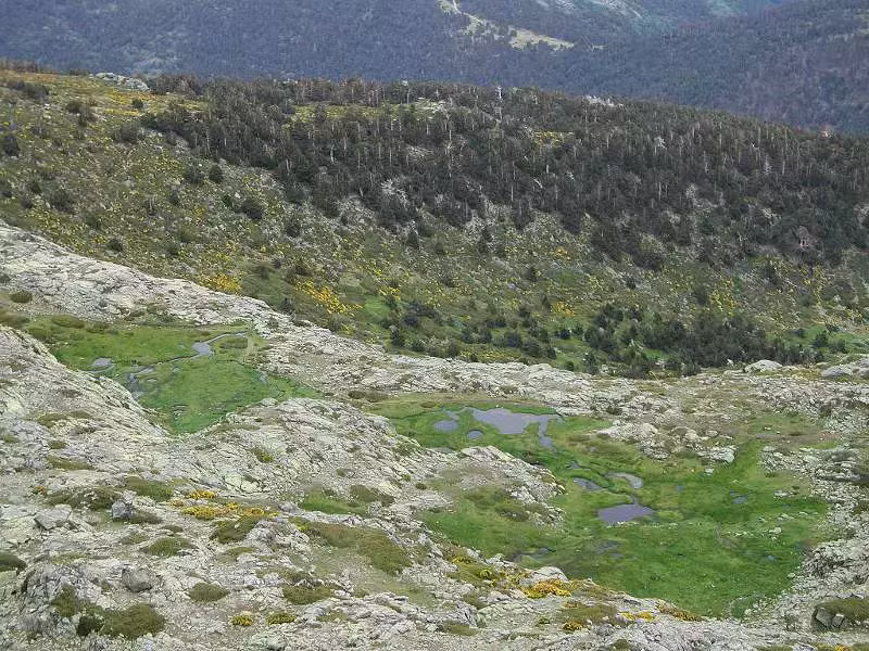 llanos penalara