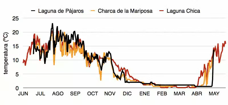 temperatura sapo