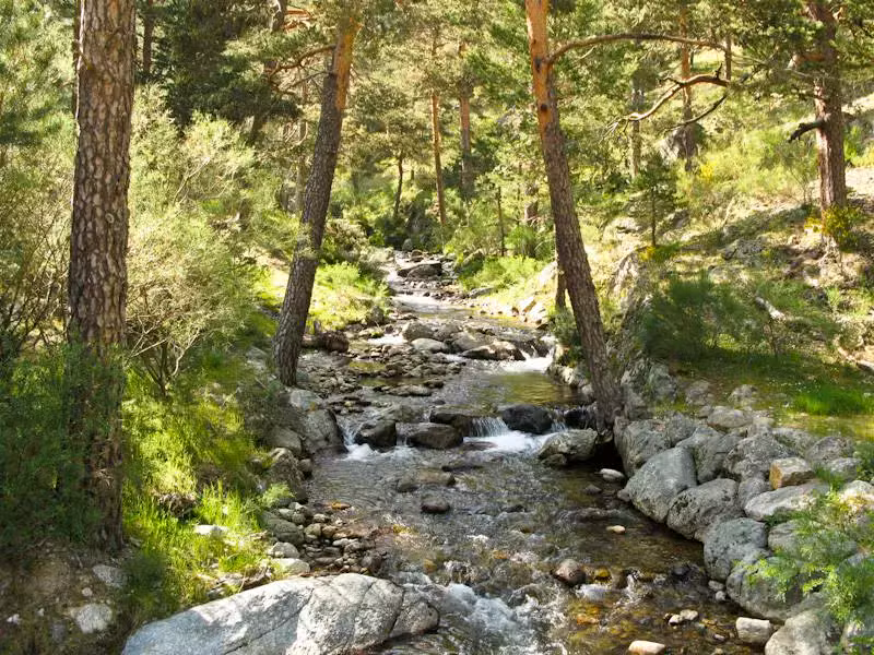 Cambio climático y macroinvertebrados fluviales