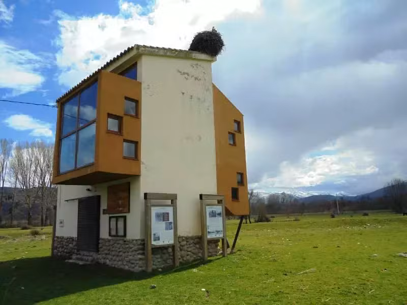 alameda vida tradicional