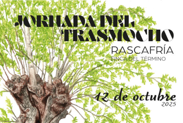 Jornada del trasmocho